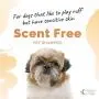 Hygea Natural Pet Shampoo for Dogs with Sensitive Skin with Organic Ingredients 16oz
