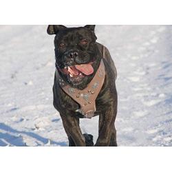 Bestia Aztec Grey Big Dogs Leather Chest Plate Harness