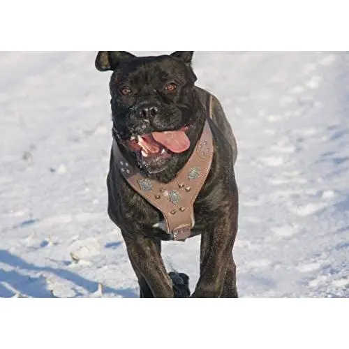 Bestia Aztec Grey Big Dogs Leather Chest Plate Harness Bestia Aztec Grey Big Dogs Leather Chest Plate Harness