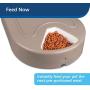 PetSafe 5 Meal Automatic Pet Feeder, Dog and Cat Dry Food Dispenser, with Digital Clock and Portion Control, 1 Cup Compartment Portions, 5 Cups Total Capacity