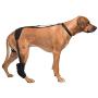 Caldera Pet Therapy Tarsal Wrap with Gel, Large, Black