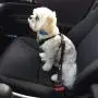 SlowTon Dog Seat Belt, 2 Pack Adjustable Pet Car Seatbelt Elastic Bungee Buffer Heavy Duty Reflective Nylon Safety Belt Connect to Dog Harness in Vehicle Travel Daily Use SlowTon Dog Seat Belt, 2 Pack Adjustable Pet Car Seatbelt Elastic Bungee Buffer Heavy Duty Reflective Nylon Safety Belt Connect to Dog Harness in Vehicle Travel Daily Use