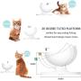 Cilkus Cat Dog Bowls Elevated Cat Food Water Bowls 0/20°Tilted Raised Pet Feeder Bowl with Anti Slip Stand for Cats and Small Dogs 1pcs Cilkus Cat Dog Bowls Elevated Cat Food Water Bowls 0/20°Tilted Raised Pet Feeder Bowl with Anti Slip Stand for Cats and Small Dogs 1pcs