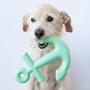 Waggo Anchors Aweigh Rubber Dog Toy