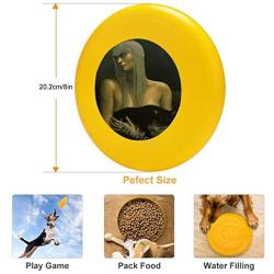 Pet Frisbee Flying Disc Dog Toy - Multifunction Solitare Jane Whiting Chrzanoska