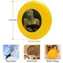 Pet Frisbee Flying Disc Dog Toy - Multifunction Solitare Jane Whiting Chrzanoska