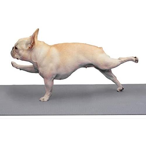 DOG MATZ Pet Anti-Slip Floor Mat to Keep Dogs from Slipping on Hard Floors – 24x68”