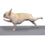 DOG MATZ Pet Anti-Slip Floor Mat to Keep Dogs from Slipping on Hard Floors – 24x68”