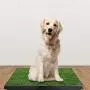 Grass Pee Potty Pad for Dog, Moclever Dog Grass Pad Tray with Drawer，25x20inch Fake Grass Portable Pet Potty Trainer Indoor&Outdoor, Best for Medium and Small Dog