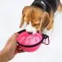 HaoDeng Collapsible Dog Bowl, 2 Pack (Pink+Blue) Collapsible Dog Water Bowls for Cats Dogs, Portable Pet Feeding Watering Dish for Walking Parking Traveling with 2 Metal Carabiners HaoDeng Collapsible Dog Bowl, 2 Pack (Pink+Blue) Collapsible Dog Water Bowls for Cats Dogs, Portable Pet Feeding Watering Dish for Walking Parking Traveling with 2 Metal Carabiners
