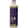 Cloud Star Shampoo and Conditioner Lavender & Mint Combo Pack for Dogs: (1) Buddy Wash 2 in 1 Shampoo + Conditioner and (1) Buddy Rinse Hydrating Therapy Conditioner (2 Bottles Total, 16 Ounces Each)