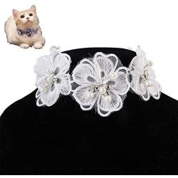 Chenyouwen Pet Toys Great Pet Jewelry Collar Creative Teddy Lace Flower Lace Bib Cute Cat Necklace, Size: L(White) (Color : White)