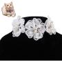 Chenyouwen Pet Toys Great Pet Jewelry Collar Creative Teddy Lace Flower Lace Bib Cute Cat Necklace, Size: L(White) (Color : White)