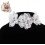 Chenyouwen Pet Toys Great Pet Jewelry Collar Creative Teddy Lace Flower Lace Bib Cute Cat Necklace, Size: M(White) (Color : White) Chenyouwen Pet Toys Great Pet Jewelry Collar Creative Teddy Lace Flower Lace Bib Cute Cat Necklace, Size: M(White) (Color : White)