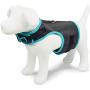 MARTHA STEWART Adjustable Reflective Comfort Harness for Dogs
