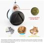 LZJDS Balance Car Design Tumbler Cat Toy Teaser Toys for Indoor Kitten Cats Ball Kitten Reat Puzzle Balanced Chasing Interactive Swing Chaser Turntable Pet Toy Pet Supplies,White,1