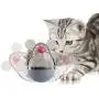 High End Pets Cat Toys for Indoor Cats Interactive - Cat Treat Puzzle Mouse Toy, Satisfies Kittens Hunting, Chasing and Exercise Needs High End Pets Cat Toys for Indoor Cats Interactive - Cat Treat Puzzle Mouse Toy, Satisfies Kittens Hunting, Chasing and Exercise Needs