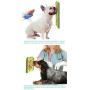 Ollypet Dog Slow Feeder Pet Lick Pad and Bowl for Puppy Cat Licking Mat for Grooming Bathing with Suction Cup for Cute Soother Puppies Peanut Lick Mat Combo Plate Set of 4 in 1