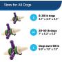 PetSafe Busy Buddy Jack Dog Toy, Chew Toy with Treats