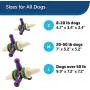 PetSafe Busy Buddy Jack Dog Toy, Chew Toy with Treats