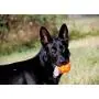 Jolly Pets Jumper, 4'', Orange, Large, Model Number: JTJJ04OR Jolly Pets Jumper, 4'', Orange, Large, Model Number: JTJJ04OR
