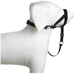 Coastal Pet Walk and Train Head Halter Collar. Size: Small. Color: Black
