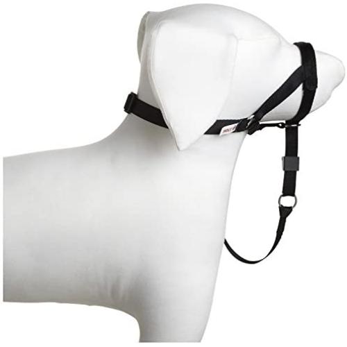 Coastal Pet Walk and Train Head Halter Collar. Size: Small. Color: Black