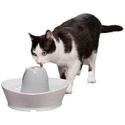 PetSafe Ceramic Pet Drinking Fountains, Creekside or Seascape Cat and Dog Fresh Flowing Water Dispensers, 60 oz Capacity, Durable Hygienic Ceramic Material, Easy to Clean Design, Filters Included