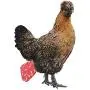 Yagamii Reusable Chicken Duck Diapers,Prevent Defecation in Public Place,Farm Pet Nappy Breathable Equipped with Elastic Band,Poultry Cloth for Chicks Hens Rooster Silkies Bantam
