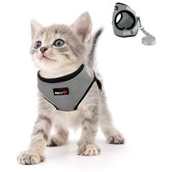 Kamots Beauty Escape Proof Cat Dog Harness and Leash Adjustable Soft Mesh Pet Vest with Reflective Strap for Puppy Kitten Small Pet Walking