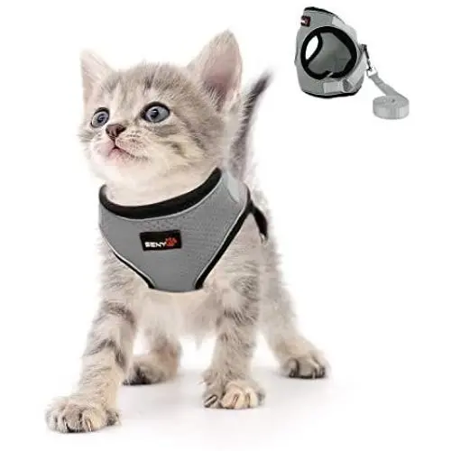 Kamots Beauty Escape Proof Cat Dog Harness and Leash Adjustable Soft Mesh Pet Vest with Reflective Strap for Puppy Kitten Small Pet Walking