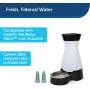 PetSafe Healthy Pet Gravity Food or Water Station, Automatic Dog and Cat Feeder or Water Dispenser, Small, Medium, Large