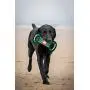 Pets First NCAA Football Field Dog Toy with Squeaker. - Nebraska Cornhuskers - for Tug, Toss, and Fetch. - Tough & Durable PET Toy Pets First NCAA Football Field Dog Toy with Squeaker. - Nebraska Cornhuskers - for Tug, Toss, and Fetch. - Tough & Durable PET Toy