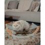 Furry Tom Premium Cat Bed - Rocking and Static Cat Hammock - Modern and Minimalist Pet Bed - Pine Wood and Linen - Elephant Gray Furry Tom Premium Cat Bed - Rocking and Static Cat Hammock - Modern and Minimalist Pet Bed - Pine Wood and Linen - Elephant Gray