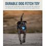 Planet Dog Orbee-Tuff Durable Chew-Fetch Ball Dog Toys