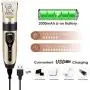 Pakolon Dog Clippers pet electrick Clippers Frequency Adjustment Low Noise USB Charging Pet Grooming Hair Clippers Kit Cat and Dog Clipper Beauty Kits Pet Nail Scissors Combs Scissors Cat Hair Pakolon Dog Clippers pet electrick Clippers Frequency Adjustment Low Noise USB Charging Pet Grooming Hair Clippers Kit Cat and Dog Clipper Beauty Kits Pet Nail Scissors Combs Scissors Cat Hair