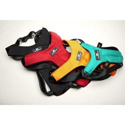 Sleepypod ClickIt Sport Crash-Tested Car Safety Dog Harness
