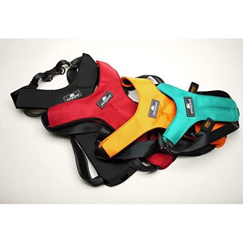 Sleepypod ClickIt Sport Crash-Tested Car Safety Dog Harness