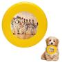 Pet Frisbee Flying Disc Dog Toy - Multifunction Pitching Windup Michael Pattison