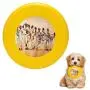 Pet Frisbee Flying Disc Dog Toy - Multifunction Pitching Windup Michael Pattison