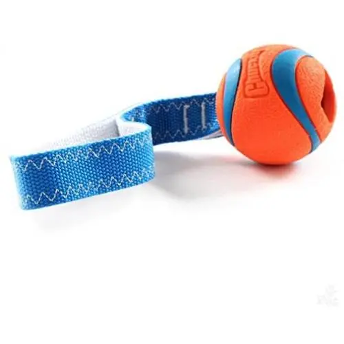 Chuckit Ultra Tug Medium Ball 6.5cm, Ultra Dog and Puppy Toy Chuckit Ultra Tug Medium Ball 6.5cm, Ultra Dog and Puppy Toy