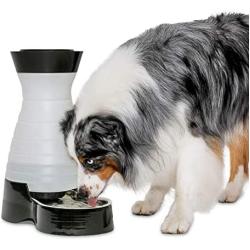 PetSafe Healthy Pet Gravity Food or Water Station, Automatic Dog and Cat Feeder or Water Dispenser, Small, Medium, Large