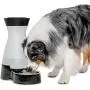 PetSafe Healthy Pet Gravity Food or Water Station, Automatic Dog and Cat Feeder or Water Dispenser, Small, Medium, Large