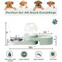 SAVFOX 2 in1 Automatic Water Dispenser Pet Bowls Set, Durable & Detachable Stainless Steel Feeder Bowl, No-Spill Dog Water Bottle & Dish for Cats & Dogs