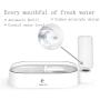 Real Pet Double Dog Cat Bowls Cat Automatic Water Dispenser Detachable Dog Glass Feeder Bowl No-Spill Pet Food Water Bowls for Cats and Small Dog