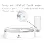 Real Pet Double Dog Cat Bowls Cat Automatic Water Dispenser Detachable Dog Glass Feeder Bowl No-Spill Pet Food Water Bowls for Cats and Small Dog Real Pet Double Dog Cat Bowls Cat Automatic Water Dispenser Detachable Dog Glass Feeder Bowl No-Spill Pet Food Water Bowls for Cats and Small Dog