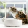 DotPet Cat Feeding Bowls, Ceramics Single Food Feeding Bowl for Cats/Dogs, Non-Slip Anti-Spill Ceramics Single Dish or Water Feeder Bowl DotPet Cat Feeding Bowls, Ceramics Single Food Feeding Bowl for Cats/Dogs, Non-Slip Anti-Spill Ceramics Single Dish or Water Feeder Bowl