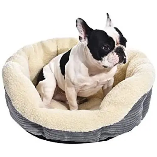 Amazon Basics Warming Pet Bed For Cats or Dogs Amazon Basics Warming Pet Bed For Cats or Dogs