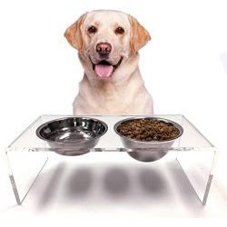 ZEXPRO Medium Size Dog Acrylic Elevated Pet Bowls - Raised Clear Feeding Stand for Dogs - 2 Set of Stainless Steel Food Container 2021 Upgrade Version