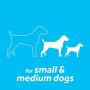 TropiClean Fresh Breath Fresh N Fun Dental Chew Toy for Small and Medium Dogs
